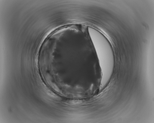 X0000112901291200909041714