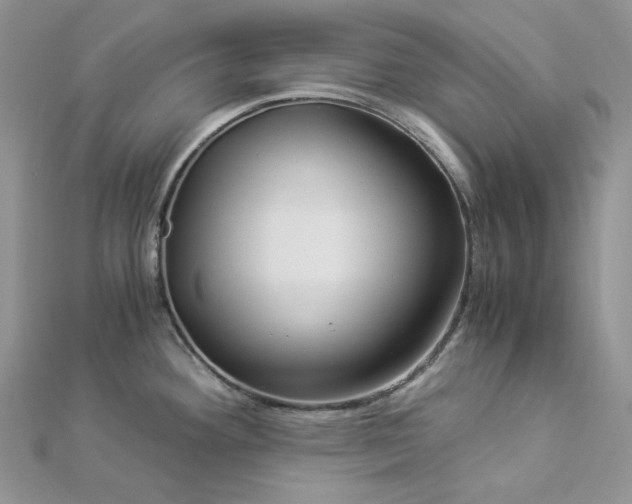 X0000112901292200909041714