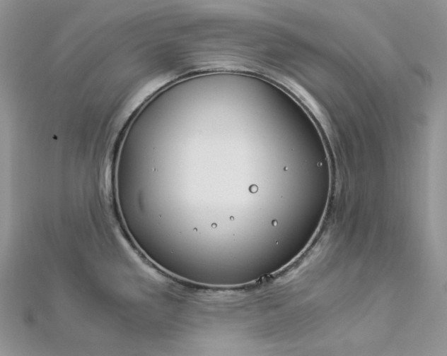 X0000112901293200909041714