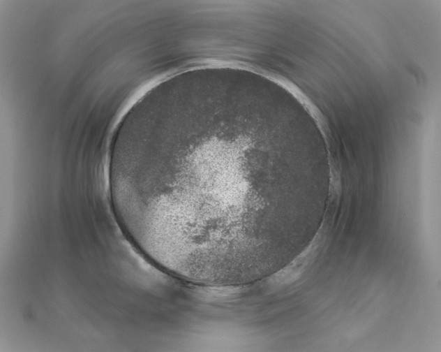 X0000112901294200909041714