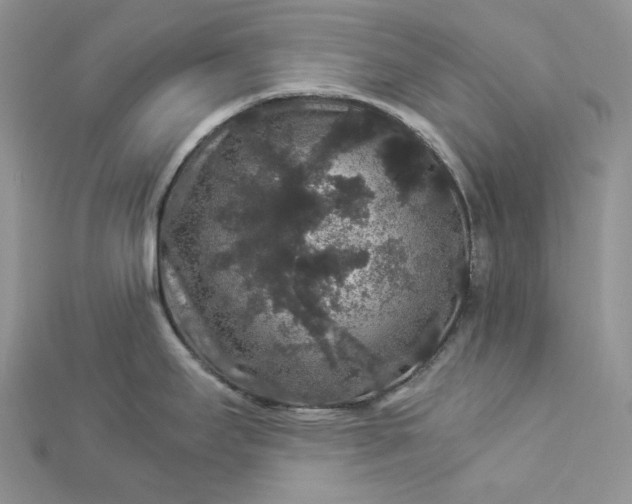 X0000112901295200909041714