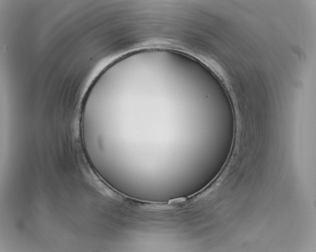 X0000112901296200909041714