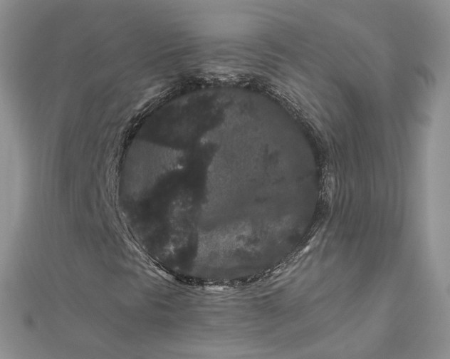 X0000112901297200909041714