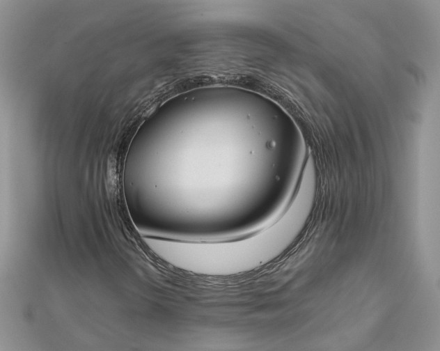 X0000112901298200909041714