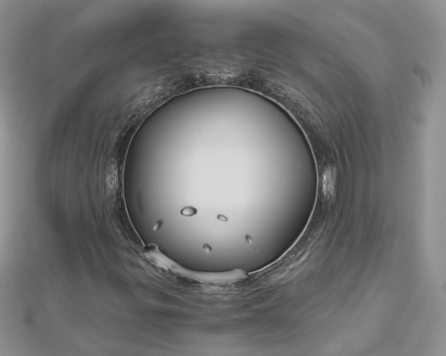 X0000112901299200909041714