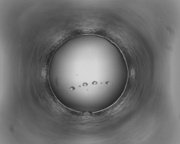 X0000112901300200909041714