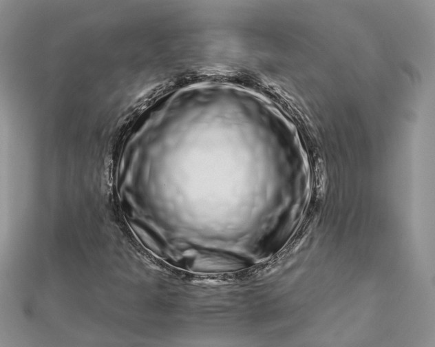 X0000112901301200909041714