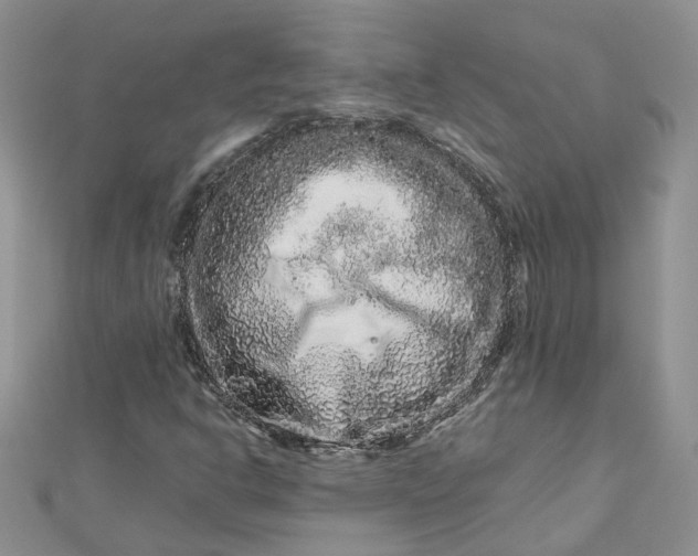 X0000112901302200909041714