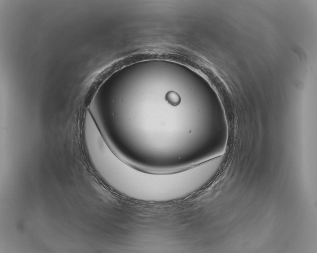 X0000112901304200909041714