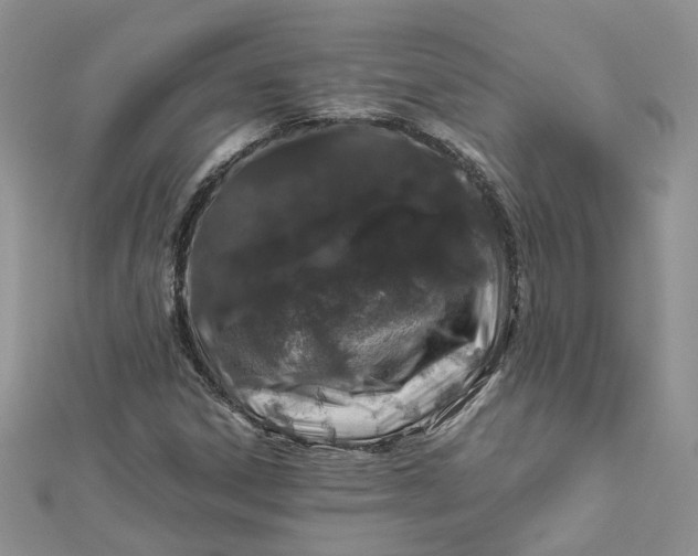 X0000112901306200909041714