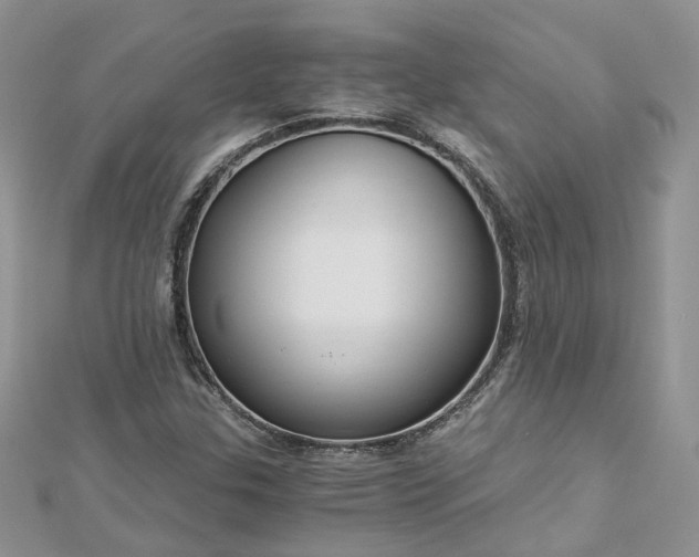 X0000112901307200909041714