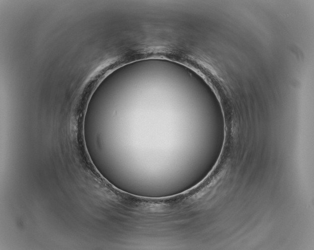 X0000112901309200909041714