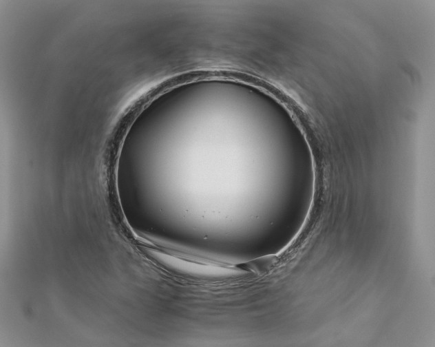 X0000112901311200909041714