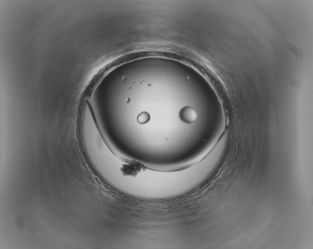 X0000112901312200909041714