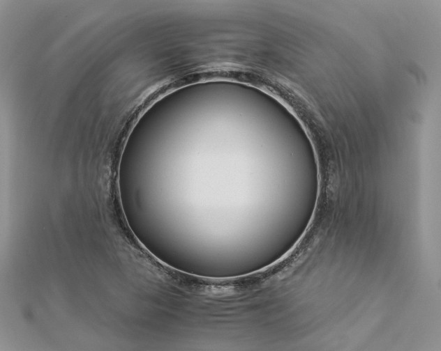 X0000112901313200909041714