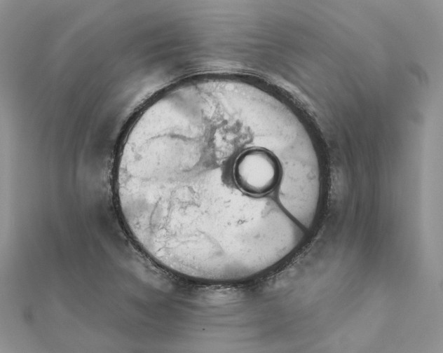 X0000112901314200909041714