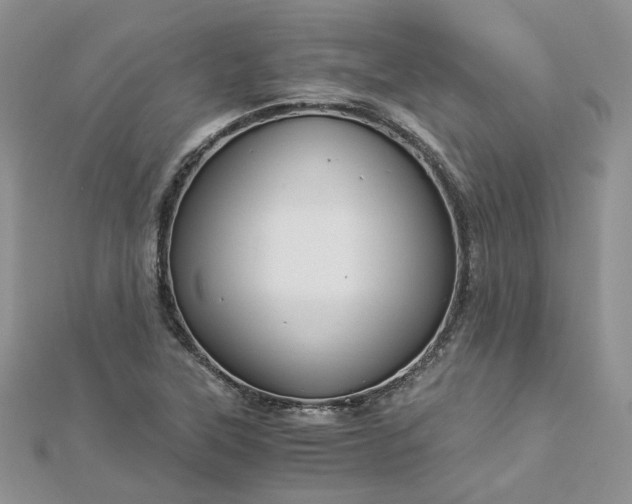 X0000112901315200909041714