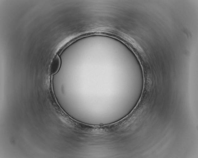 X0000112901316200909041714