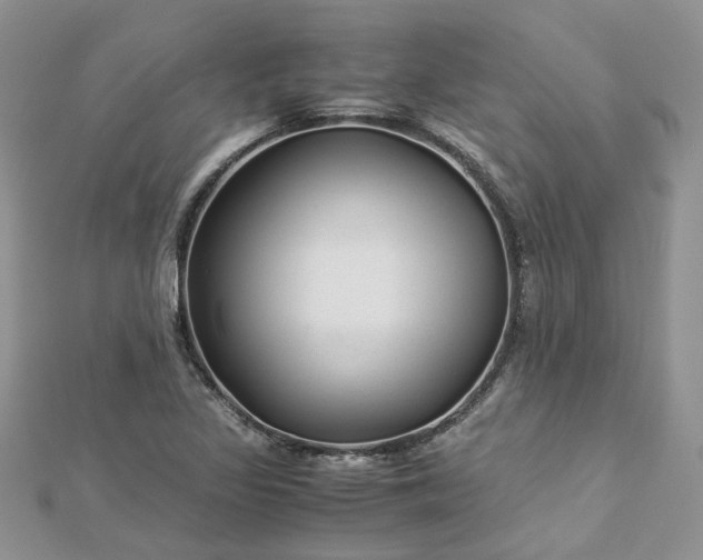 X0000112901317200909041714