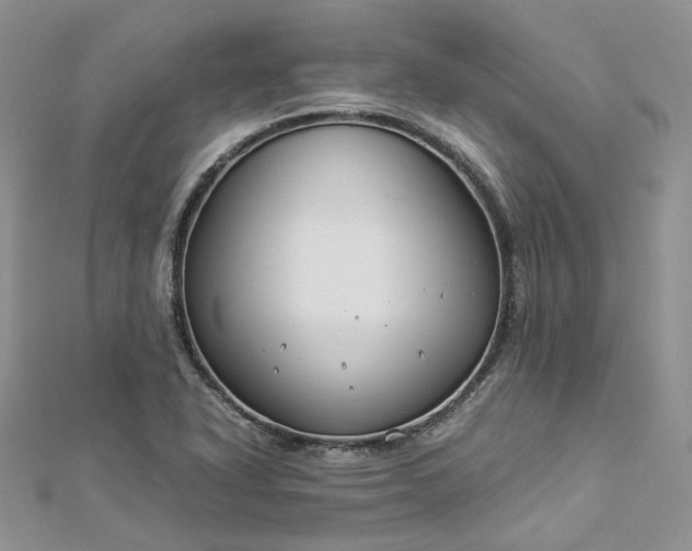 X0000112901318200909041714