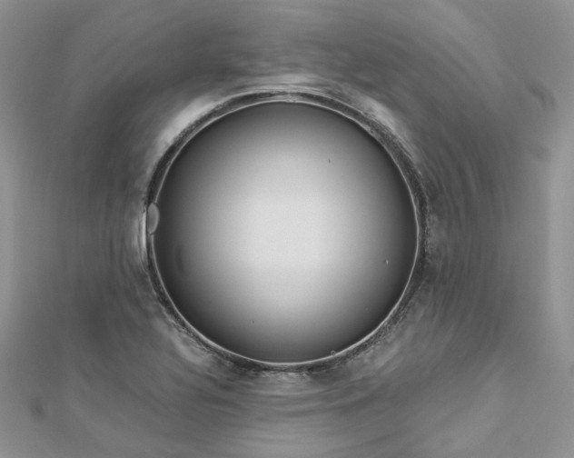 X0000112901320200909041714