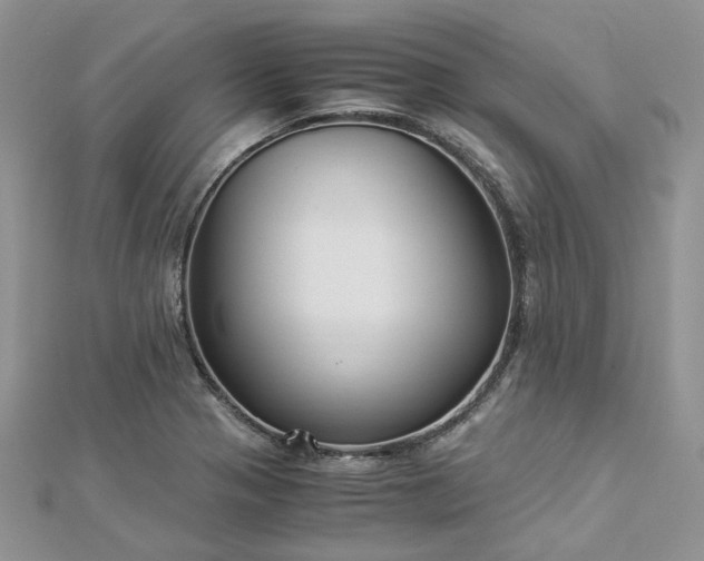 X0000112901321200909041714