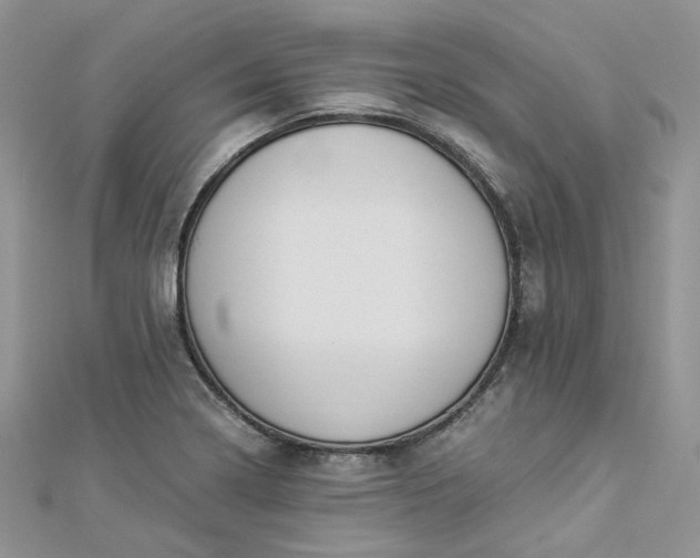 X0000112901322200909041714