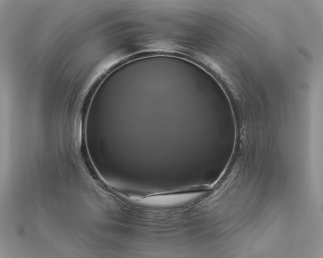 X0000112901323200909041714