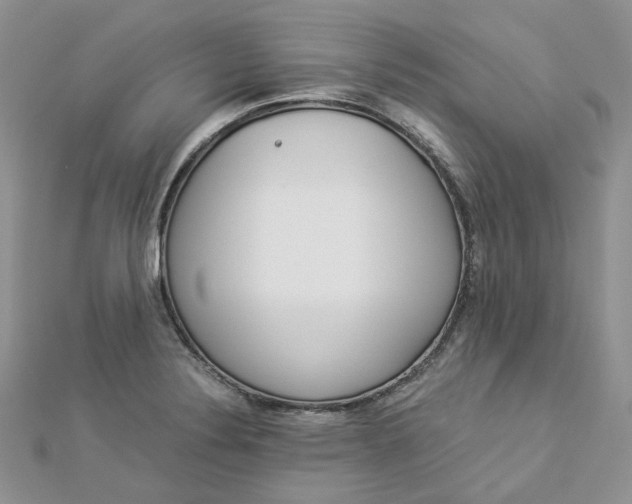 X0000112901324200909041714