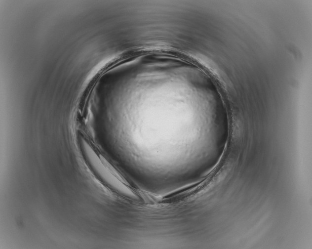 X0000112901325200909041714