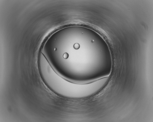 X0000112901326200909041714