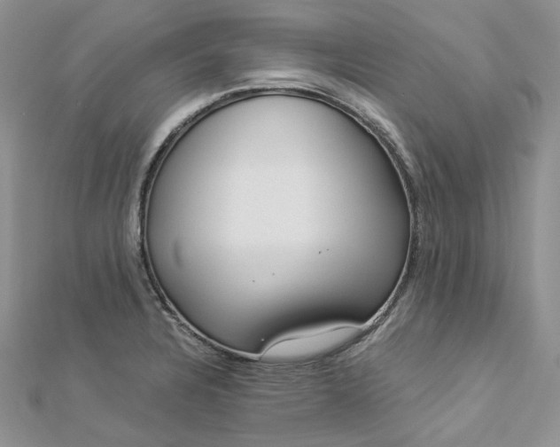 X0000112901328200909041714