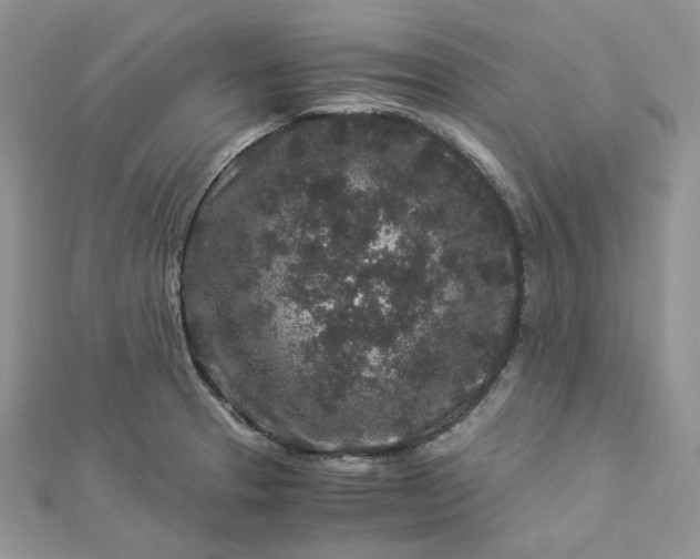 X0000112901329200909041714