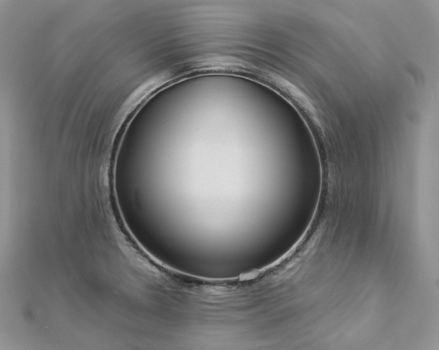 X0000112901330200909041714