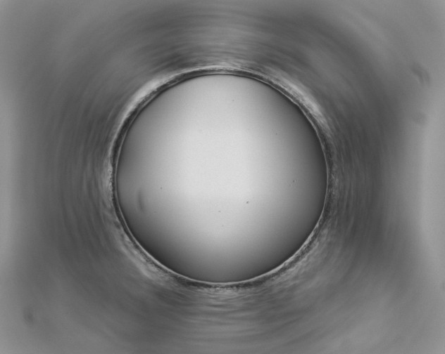 X0000112901332200909041714