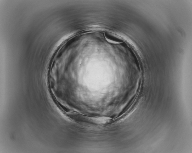 X0000112901333200909041714