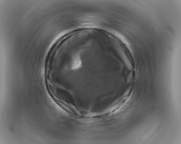 X0000112901334200909041714