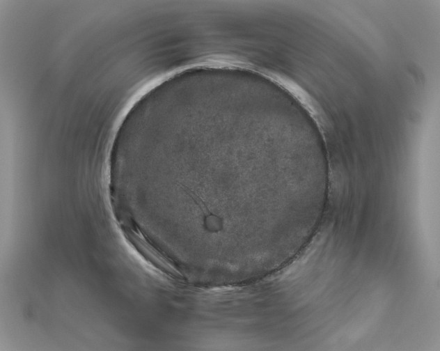 X0000112901335200909041714