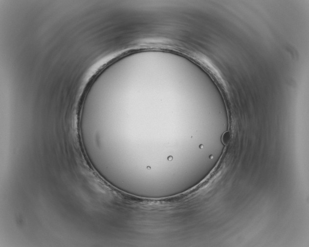 X0000112901336200909041714