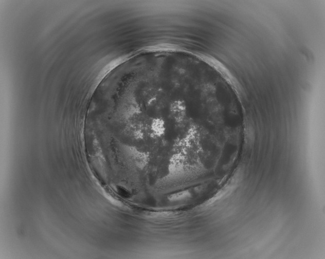 X0000112901337200909041714