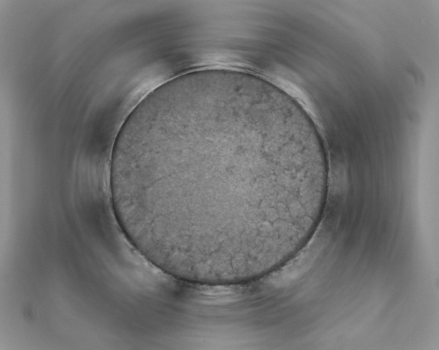 X0000112901338200909041714