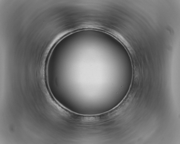 X0000112901339200909041714