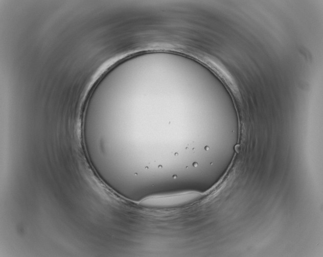 X0000112901340200909041714