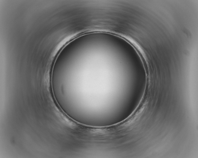 X0000112901341200909041714