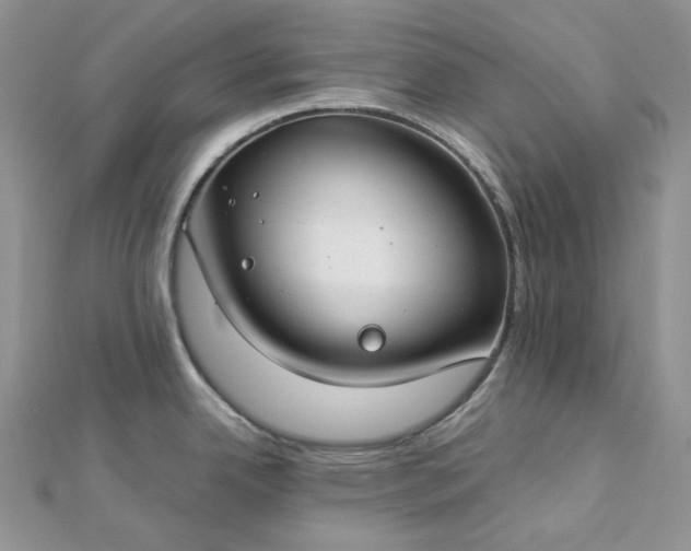 X0000112901342200909041714