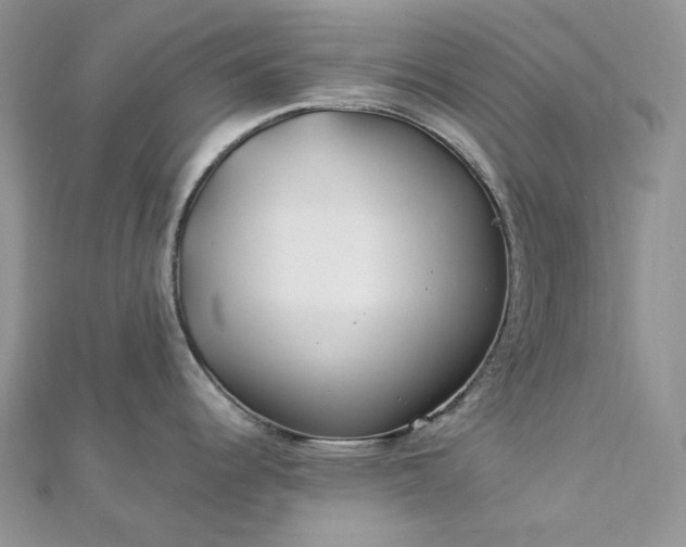 X0000112901344200909041714