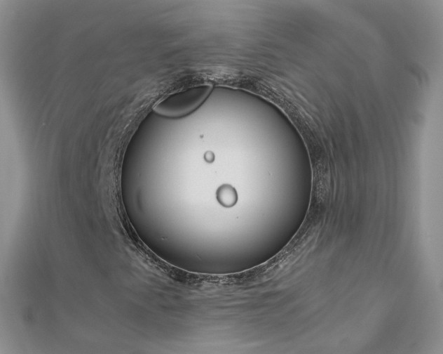 X0000112901345200909041714