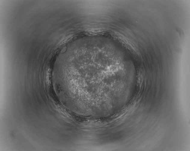 X0000112901346200909041714