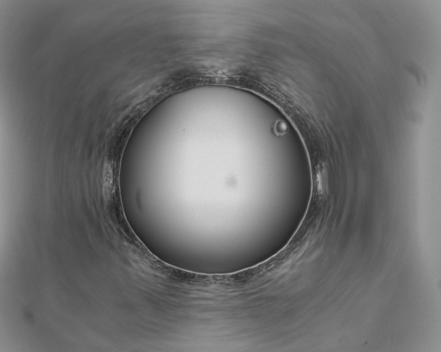 X0000112901347200909041714