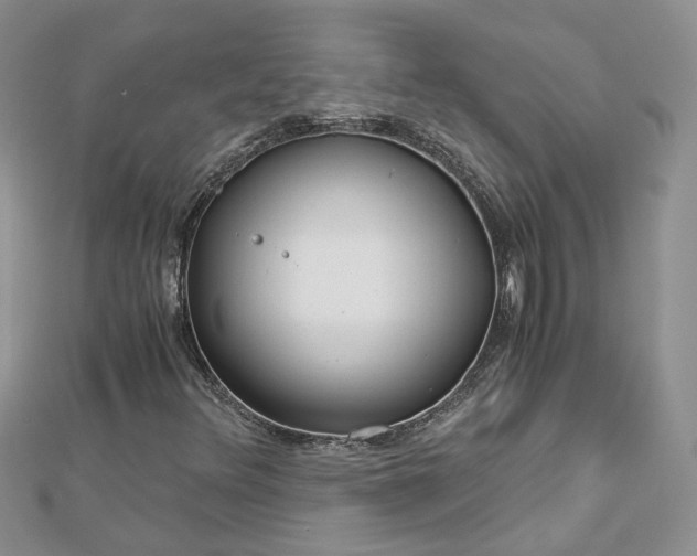 X0000112901348200909041714